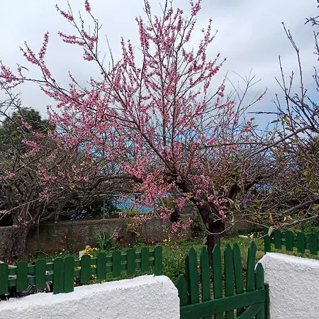 Hébergement de vacances Lacerca *