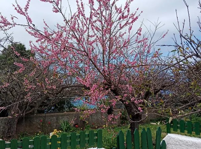 بيت للعطل Lacerca *