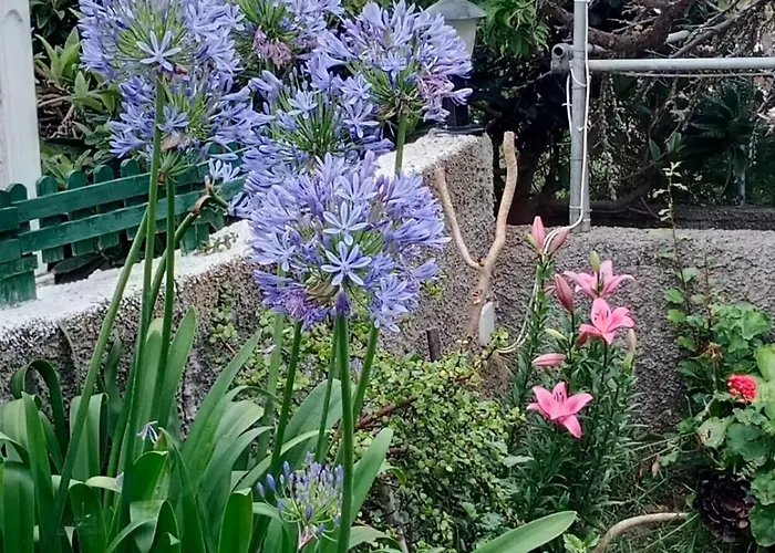 Lacerca Vakantiehuis