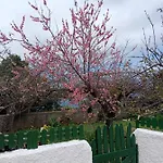 度假居 Lacerca *